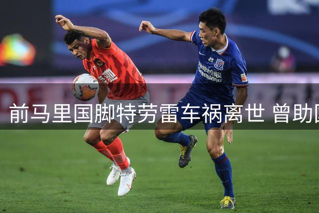 前马里国脚特劳雷车祸离世 曾助国家队夺非洲杯季军