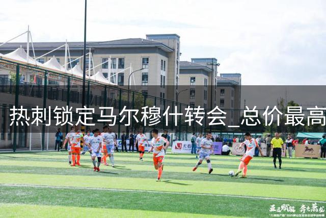 热刺锁定马尔穆什转会 总价最高达7000万欧元