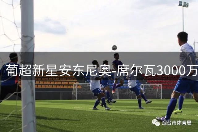 葡超新星安东尼奥-席尔瓦3000万欧登陆英超 伯恩茅斯锁定后防核心