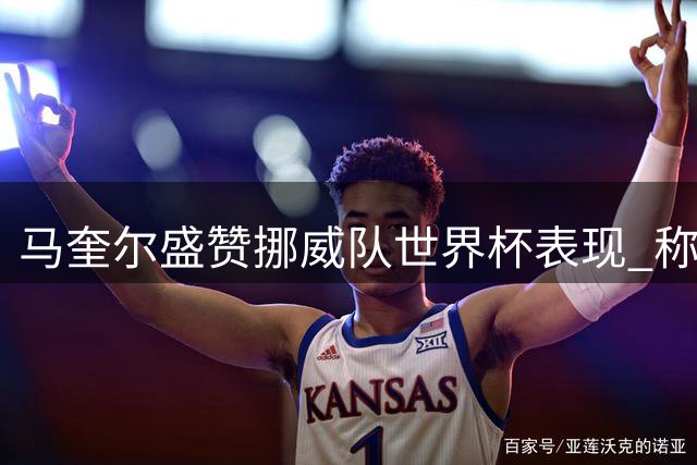 马奎尔盛赞挪威队世界杯表现 称哈兰德厄德高已跻身世界顶级